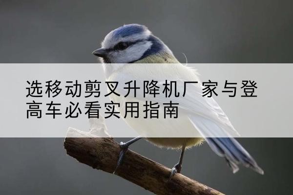 清镇电动升降机厂家-选移动剪叉升降机厂家与登高车必看实用指南