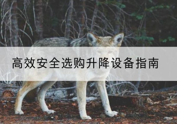 清镇升降货梯厂家推荐-*安全选购升降设备指南
