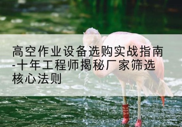 清镇剪叉式升降机厂家-高空作业设备选购实战指南-十年工程师揭秘厂家筛选核心法则